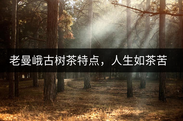 老曼峨古樹茶特點(diǎn)，人生如茶苦盡甘來