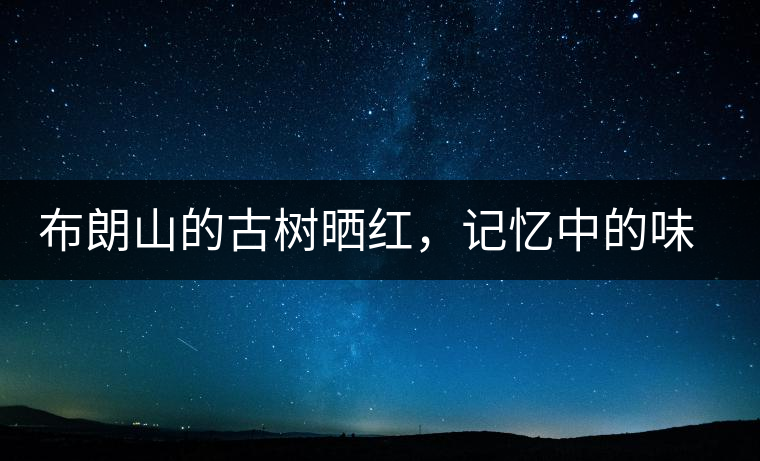 布朗山的古樹曬紅，記憶中的味道