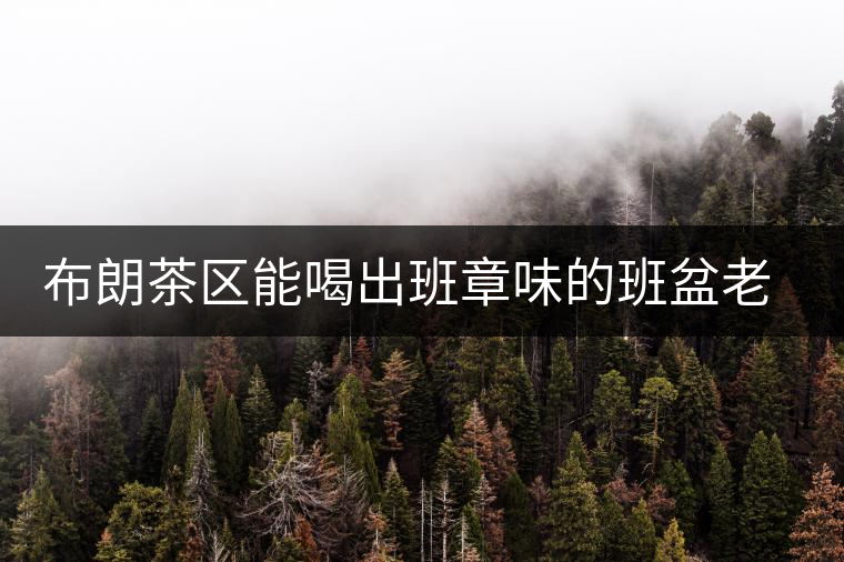 布朗茶區(qū)能喝出班章味的班盆老寨你知道嗎？