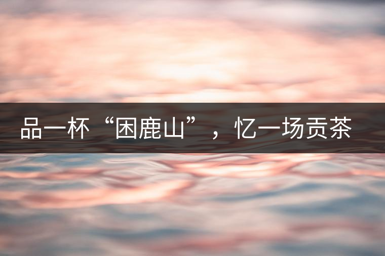 品一杯“困鹿山”，憶一場貢茶情