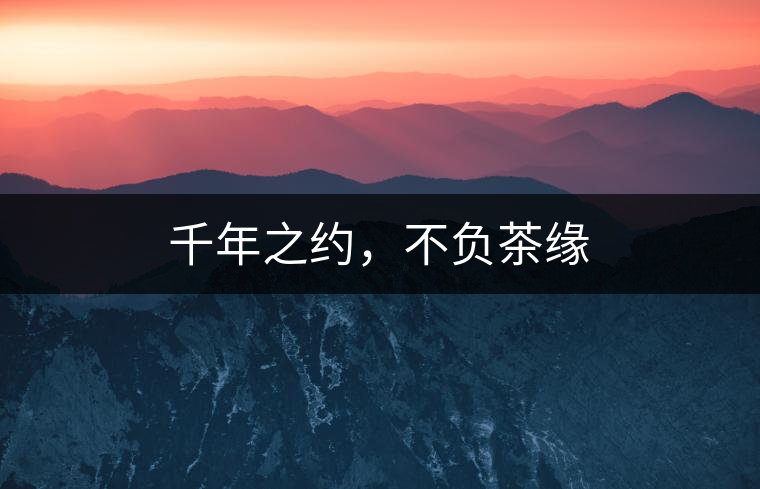 千年之約，不負茶緣