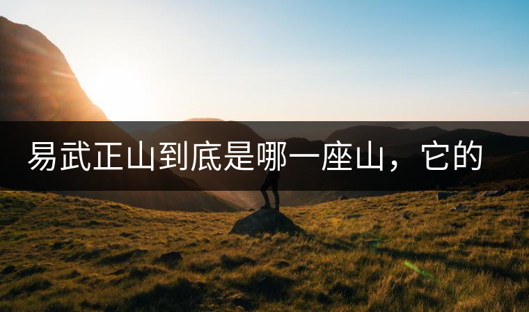 易武正山到底是哪一座山，它的含義你了解嗎？