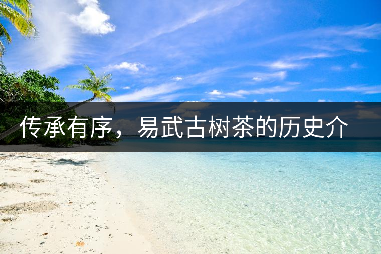 傳承有序，易武古樹茶的歷史介紹