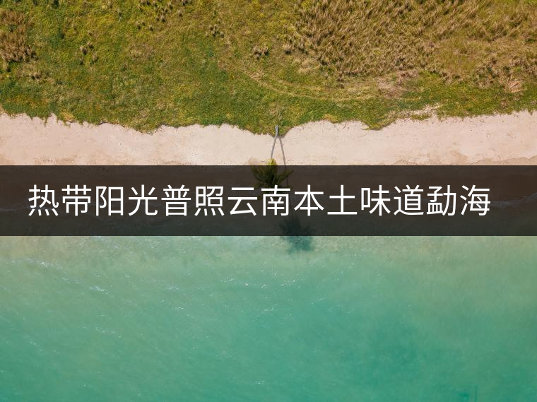 熱帶陽光普照云南本土味道勐海南糯山曬紅古樹茶 熱帶陽光普照云南本土味道勐海南糯山曬紅古樹茶