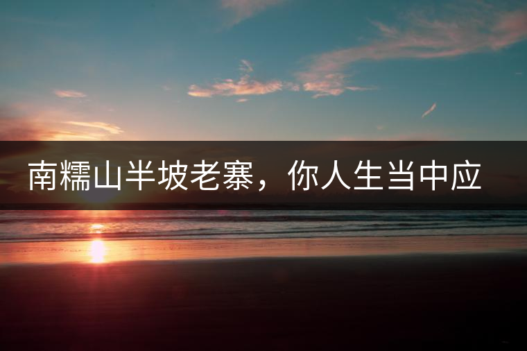 南糯山半坡老寨，你人生當中應該入手的第一片勐海味古樹純料普洱茶
