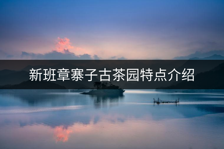 新班章寨子古茶園特點(diǎn)介紹 新班章寨子古茶園特點(diǎn)介紹