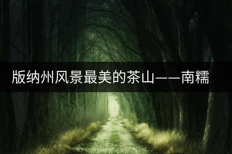 版納州風(fēng)景最美的茶山——南糯山古茶山 版納州風(fēng)景最美的茶山——南糯山古茶山