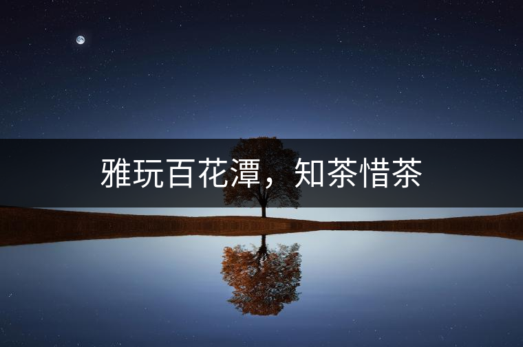 雅玩百花潭，知茶惜茶