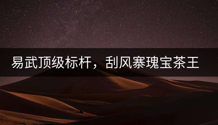易武頂級(jí)標(biāo)桿，刮風(fēng)寨瑰寶茶王樹古樹茶