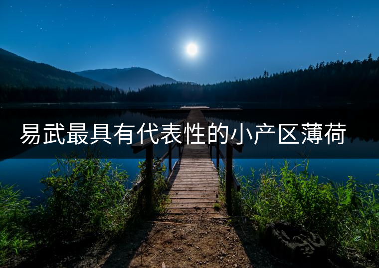 易武最具有代表性的小產(chǎn)區(qū)薄荷塘，一滴都不舍得浪費(fèi)