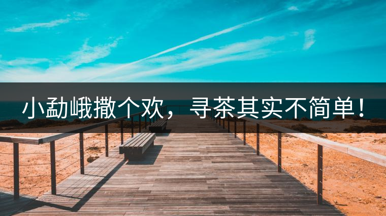 小勐峨撒個(gè)歡，尋茶其實(shí)不簡單！