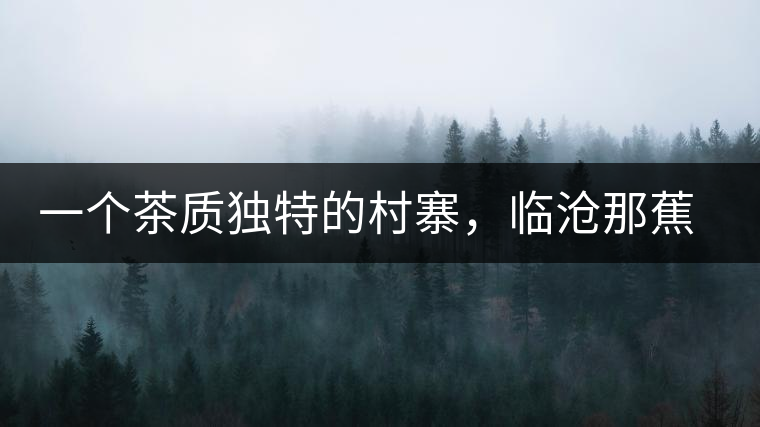 一個(gè)茶質(zhì)獨(dú)特的村寨，臨滄那蕉古樹茶介紹