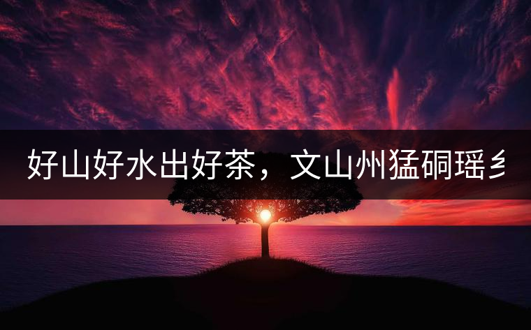 好山好水出好茶，文山州猛硐瑤鄉(xiāng)茶！