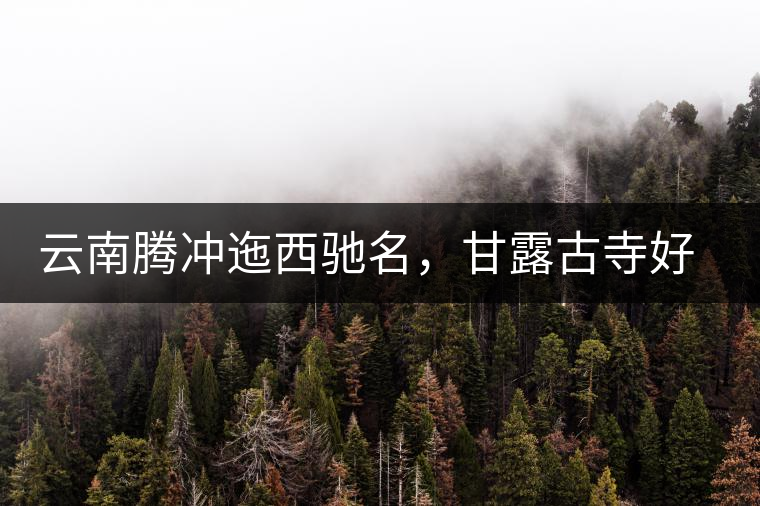 云南騰沖迤西馳名，甘露古寺好茶