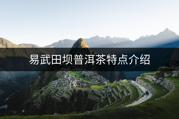 易武田壩普洱茶特點(diǎn)介紹 易武田壩普洱茶特點(diǎn)介紹