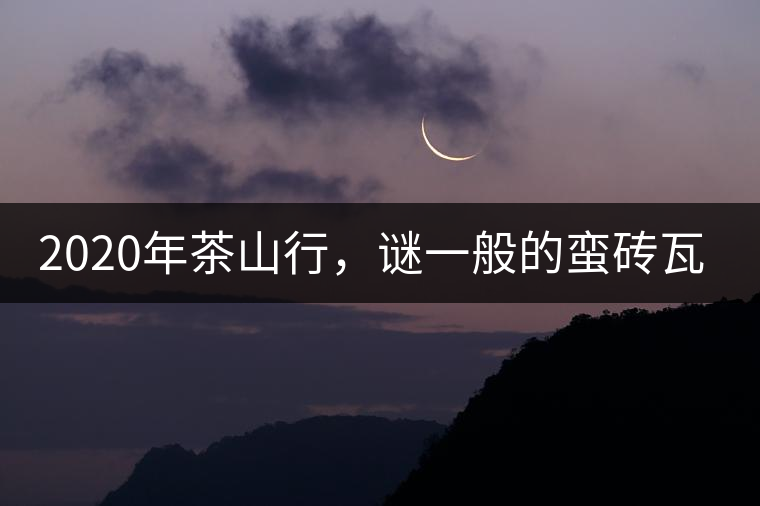 2020年茶山行，謎一般的蠻磚瓦竜古茶山