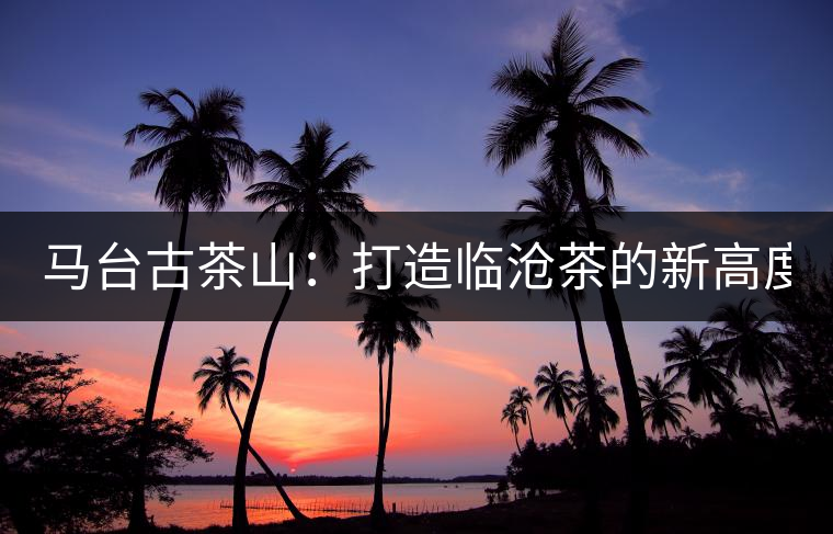 馬臺(tái)古茶山：打造臨滄茶的新高度？