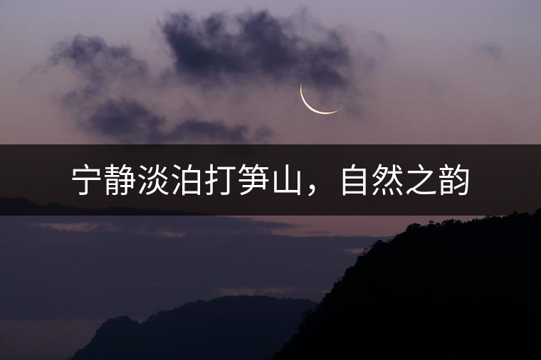 寧靜淡泊打筍山，自然之韻