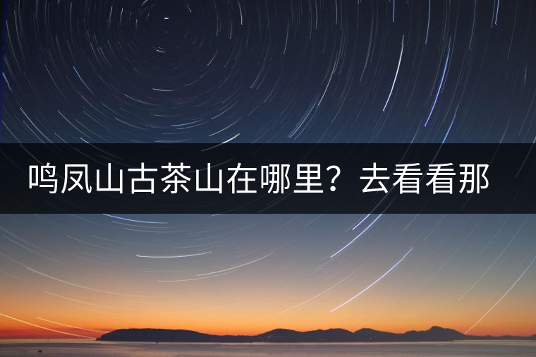 鳴鳳山古茶山在哪里？去看看那鳳凰曾經落腳的地方