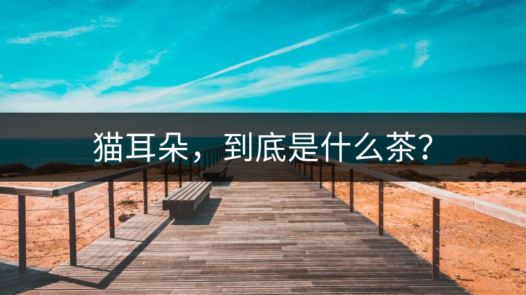 貓耳朵，到底是什么茶？