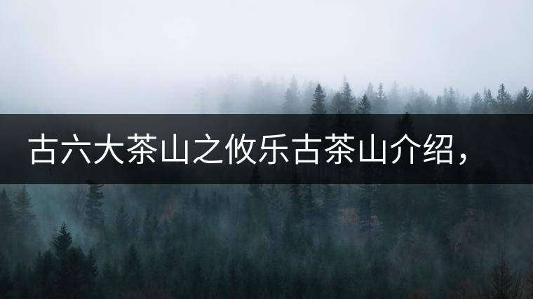 古六大茶山之攸樂古茶山介紹，攸樂古樹茶口感特點