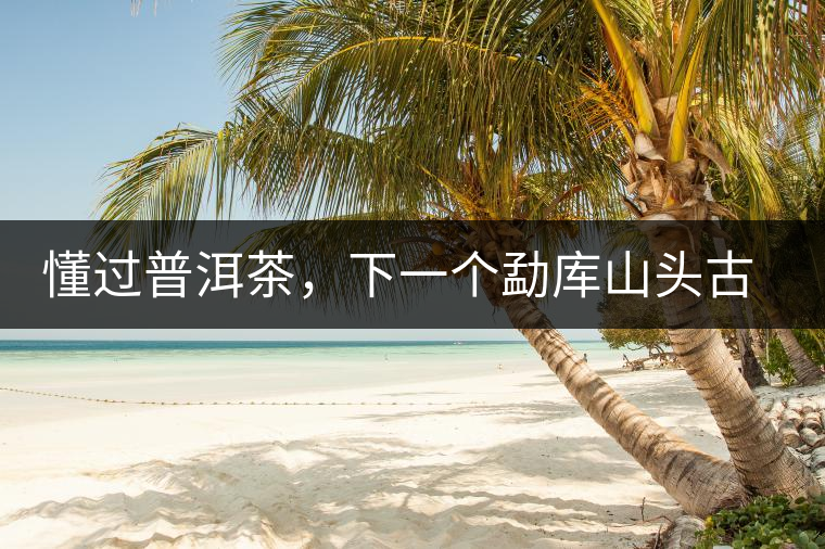 懂過普洱茶，下一個勐庫山頭古純的引爆點(diǎn)