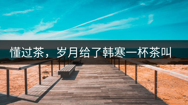 懂過茶，歲月給了韓寒一杯茶叫懂過