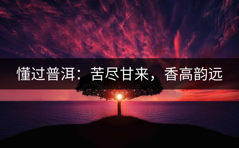 懂過(guò)普洱：苦盡甘來(lái)，香高韻遠(yuǎn)