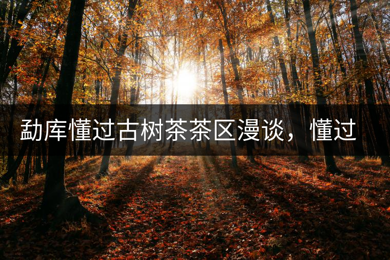 勐庫(kù)懂過(guò)古樹(shù)茶茶區(qū)漫談，懂過(guò)古樹(shù)茶的特點(diǎn)