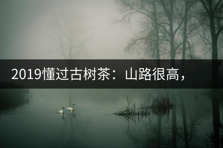 2019懂過古樹茶：山路很高，可仍然有執(zhí)著走向深山的人