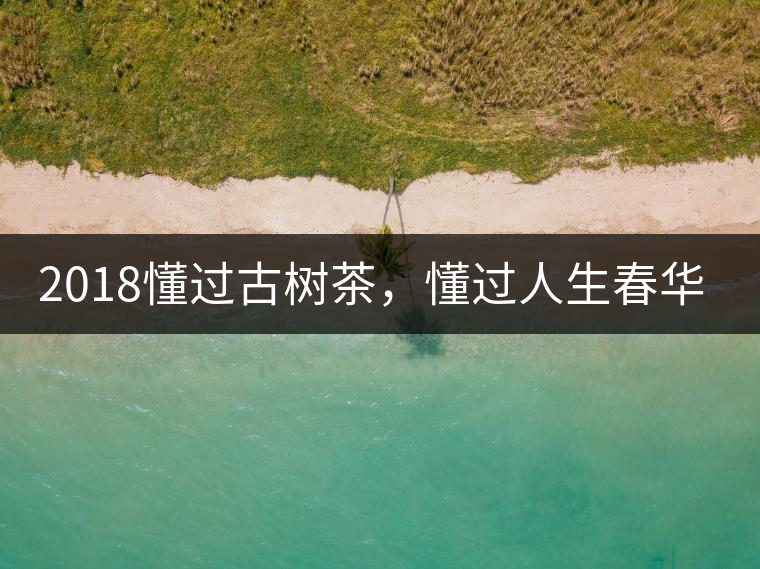2018懂過古樹茶，懂過人生春華秋實！