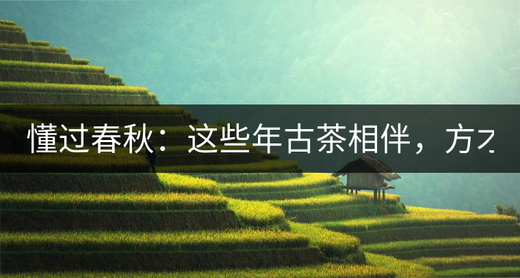 懂過春秋：這些年古茶相伴，方才懂過！