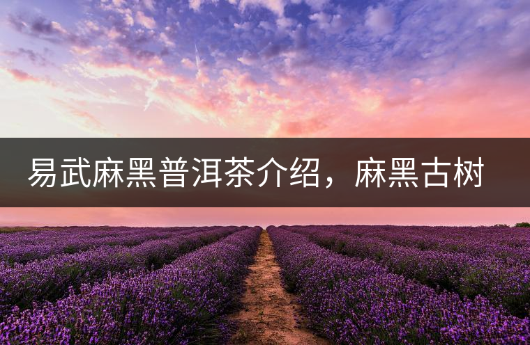 易武麻黑普洱茶介紹，麻黑古樹茶口感特點(diǎn)