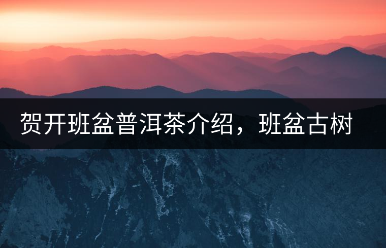 賀開(kāi)班盆普洱茶介紹，班盆古樹(shù)茶口感特點(diǎn)