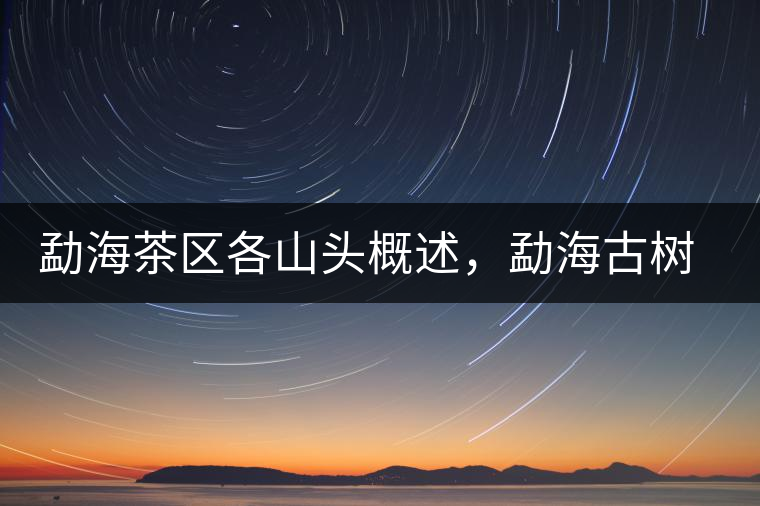 勐海茶區(qū)各山頭概述，勐海古樹茶口感特點