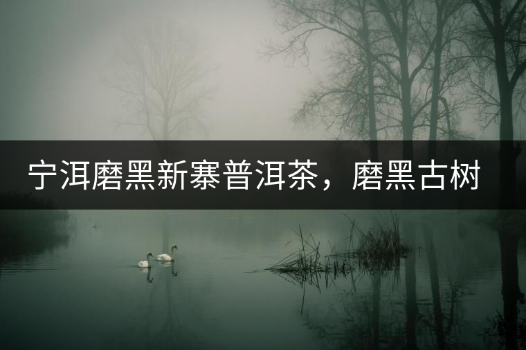 寧洱磨黑新寨普洱茶，磨黑古樹茶口感特點(diǎn)