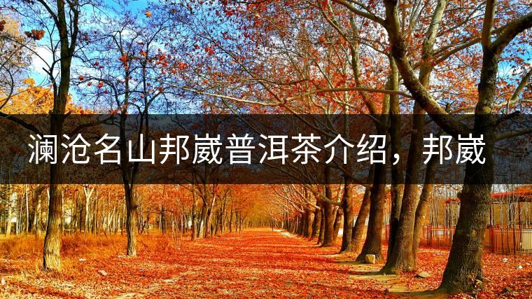 瀾滄名山邦崴普洱茶介紹，邦崴古樹茶口感特點(diǎn)