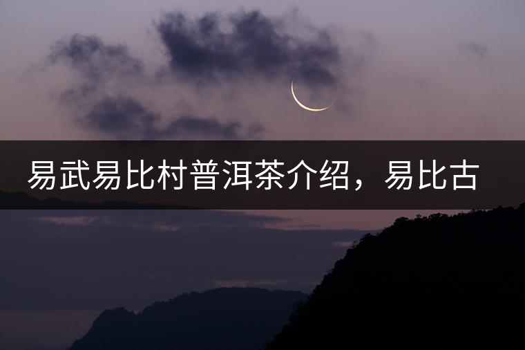 易武易比村普洱茶介紹，易比古樹茶口感特點(diǎn)