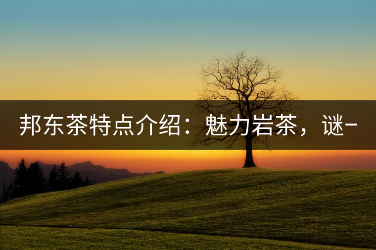 邦東茶特點介紹：魅力巖茶，謎一樣的邦東！