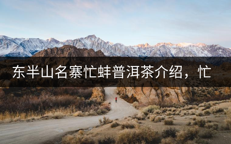 東半山名寨忙蚌普洱茶介紹，忙蚌古樹茶口感特點(diǎn)