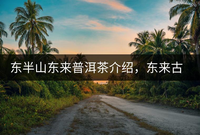 東半山東來普洱茶介紹，東來古樹茶口感特點(diǎn)