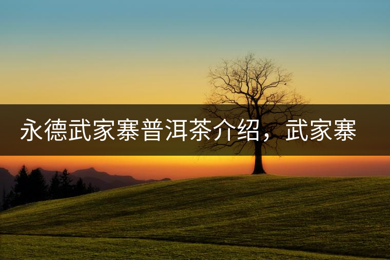 永德武家寨普洱茶介紹，武家寨古樹茶口感特點(diǎn)