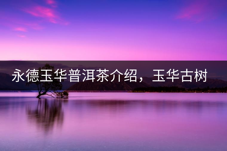 永德玉華普洱茶介紹，玉華古樹(shù)茶口感特點(diǎn)