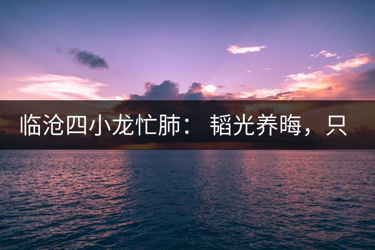 臨滄四小龍忙肺： 韜光養(yǎng)晦，只為綻放！