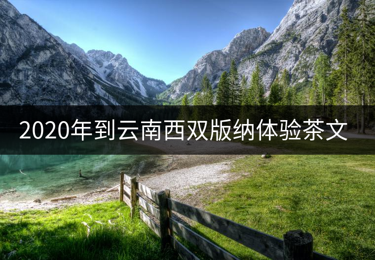 2020年到云南西雙版納體驗(yàn)茶文化旅游！