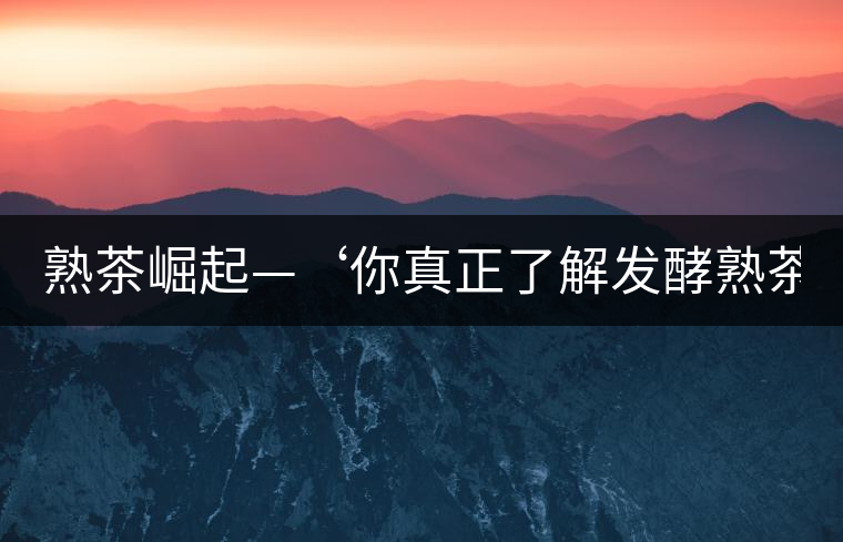 熟茶崛起—‘你真正了解發(fā)酵熟茶？’