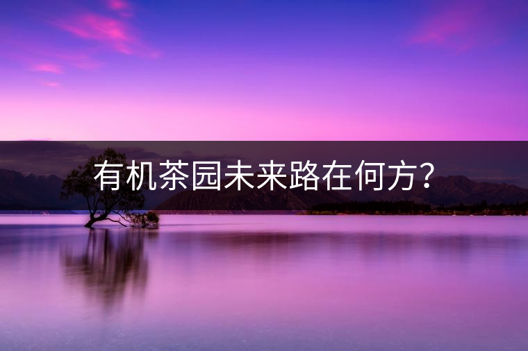 有機茶園未來路在何方？