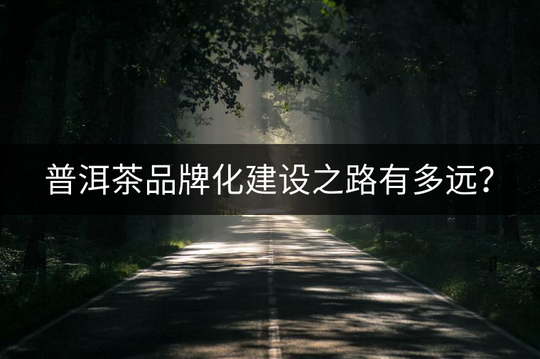 普洱茶品牌化建設(shè)之路有多遠(yuǎn)？