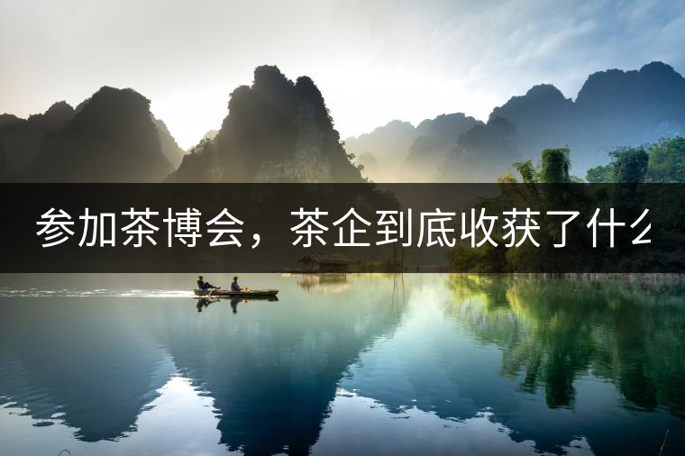 參加茶博會(huì)，茶企到底收獲了什么？