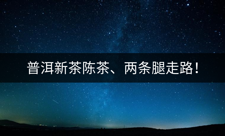 普洱新茶陳茶、兩條腿走路！